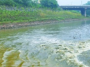 博野污水清运多少钱